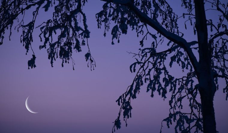 El martes 3, la Luna estará 49.6% iluminada. El martes 3, la Luna estará 49.6% iluminada.