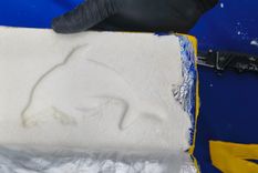 Cuatro personas terminaron detenidas luego de que un perro policía encontrara 14 kilos de cocaína en el micro. Cuatro personas terminaron detenidas luego de que un perro policía encontrara 14 kilos de cocaína en el micro.