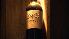 Conocé la bodega mendocina Tempus Alba: tradición vitivinícola y visión contemporánea Conocé la bodega mendocina Tempus Alba: tradición vitivinícola y visión contemporánea