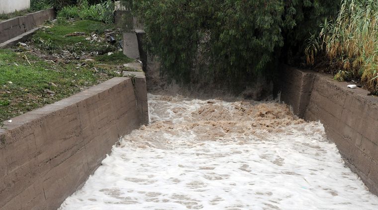 Foto: Alf Ponce / MDZ