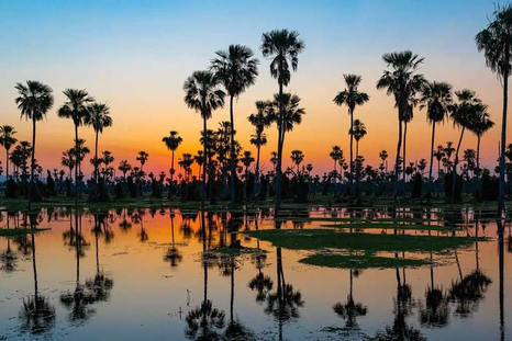 Este magnífico lugar está ubicado en el norte argentino, puntualmente en la provincia de Formosa. Este magnífico lugar está ubicado en el norte argentino, puntualmente en la provincia de Formosa.