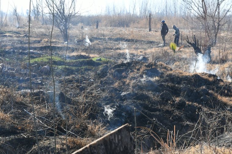 Foto: ALF PONCE MERCADO /MDZ