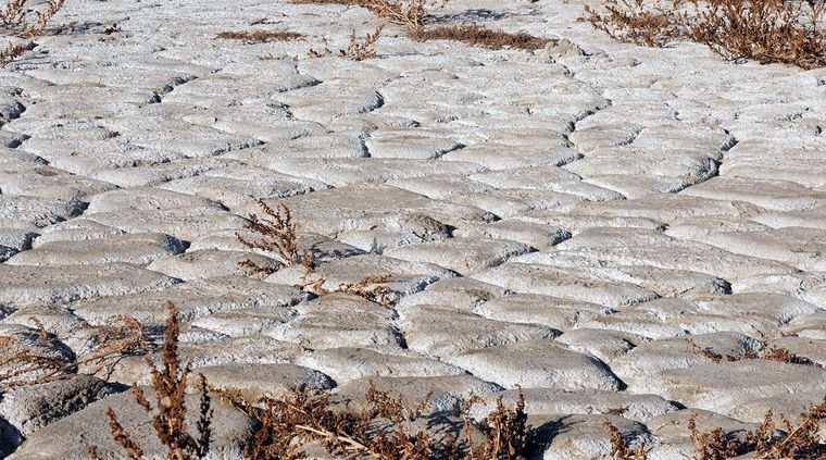 Desolador paisaje de la sequía en Mendoza. Foto: ALF PONCE MERCADO / MDZ