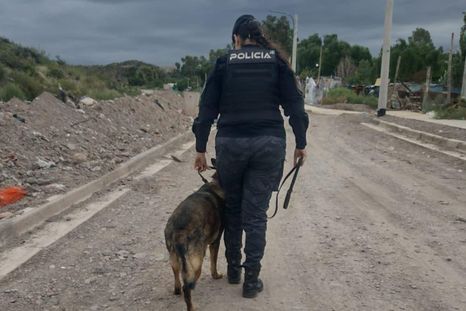 El perro Sky, protagonista del esclarecimiento de un robo en Godoy Cruz. El perro Sky, protagonista del esclarecimiento de un robo en Godoy Cruz.
