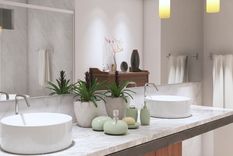 Cada planta tiene su encanto. Foto: Archivo
