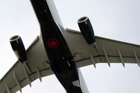 Una pasajera mordió a una policía en un avión y fue bajada de la nave. Una pasajera mordió a una policía en un avión y fue bajada de la nave.