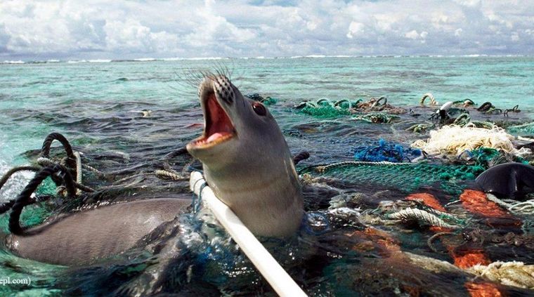 La situación es ciertamente dramática. Foto: Unep