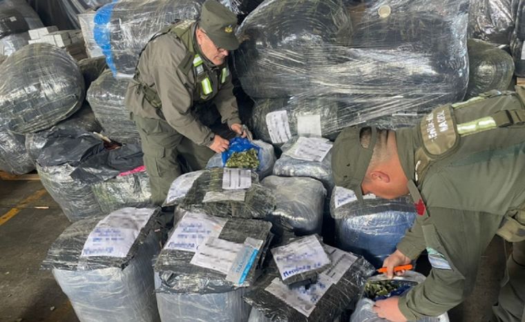Interceptaron 271 kilos de hojas de coca proveniente de Salta en Mendoza Foto: Gendarmería Nacional