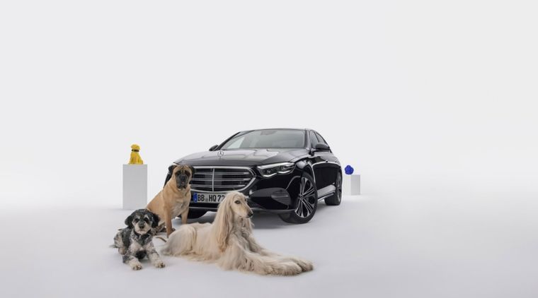 La empresa alemana pensó en la comodidad de los perros Foto: X