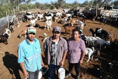 Chuchín, Abel y Griselda dentro del corral de cabras que tienen en el puesto La Verde. Foto: Juan Ignacio Blanco/MDZ