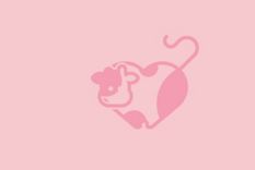 Test de personalidad Test de personalidad