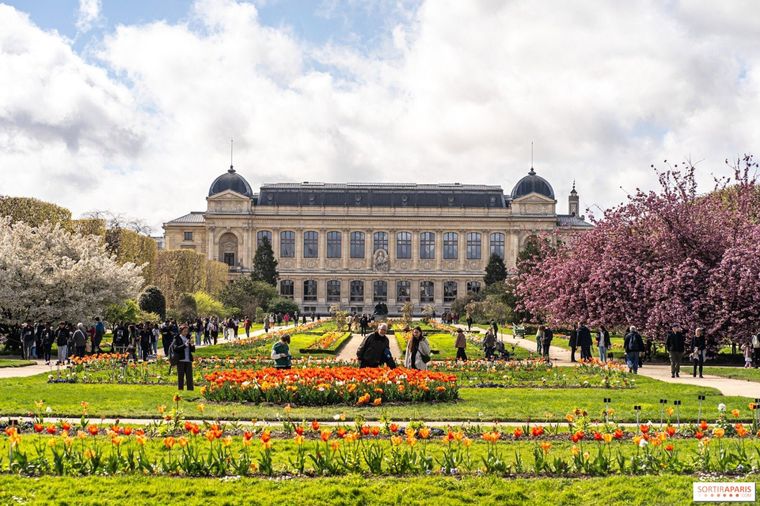 Museo Nacional de Historia Natural de París. Foto: X.