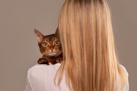 Gatos y humanos: un vínculo que va más allá de la alimentación.Foto: Shutterstock Gatos y humanos: un vínculo que va más allá de la alimentación.Foto: Shutterstock