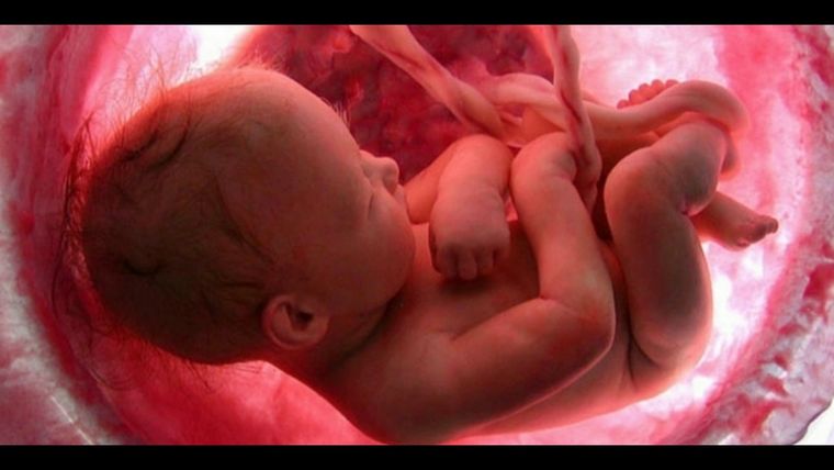 Según el Código Civil, la existencia de la persona comienza desde la concepción. Foto: Youtube