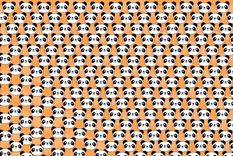 ACERTIJO VISUAL ACERTIJO VISUAL, RETO VISUAL, OSO PANDA Foto: ARCHIVO