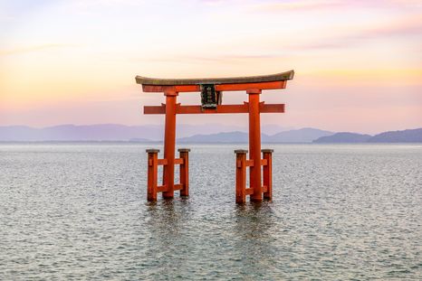 El proverbio japonés El clavo que sobresale recibe el martillazo se asocia con la presión que recibe quien se diferencia del grupo. El proverbio japonés El clavo que sobresale recibe el martillazo se asocia con la presión que recibe quien se diferencia del grupo.