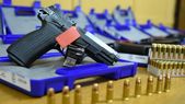 La nueva normativa de la Agencia Nacional de Materiales Controlados (ANMAC) genera un cambio en el Decreto establecido hace 30 años en el que se prohibía a los usuarios civiles la adquisición y tenencia de estas armas. La nueva normativa de la Agencia Nacional de Materiales Controlados (ANMAC) genera un cambio en el Decreto establecido hace 30 años en el que se prohibía a los usuarios civiles la adquisición y tenencia de estas armas.