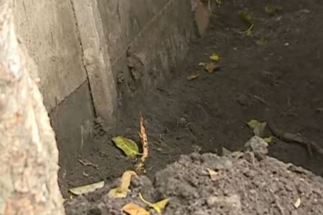 El nene encontró a su mamá enterrada en el fondo de su casa en Claypole. El nene encontró a su mamá enterrada en el fondo de su casa en Claypole.