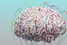 ¿puede la estimulacion tecnologica mejorar el funcionamiento de nuestro cerebro?