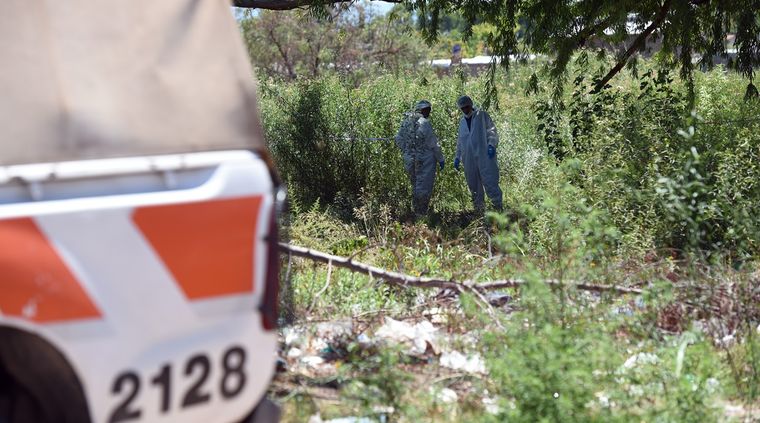 Imagen ilustrativa. Foto: Pachy Reynoso / MDZ