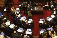 El Senado sesionará por la Boleta Única y el financiamiento universitario. Foto: NA