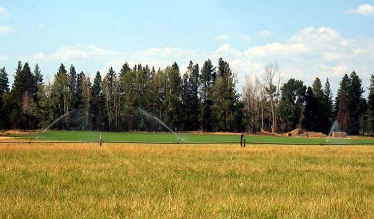 El suministro mundial de madera está amenazado por el desplazamiento de las tierras de cultivo hacia el norte por el cambio climático. Foto: DPA