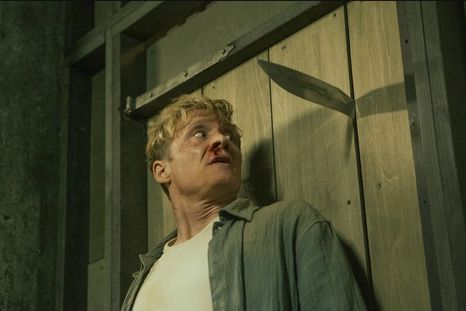 El muro revela verdades. El muro revela verdades.