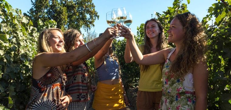 ¡A brindar con Chardonnay! Foto: Mice.lat