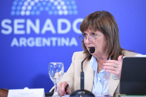 Patricia Bullrich presentó esta semana su declaración jurada. Patricia Bullrich presentó esta semana su declaración jurada.