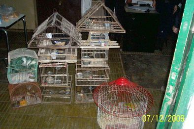 MDZol | Las aves secuestradas estaban en estas jaulas. Foto: Policía Rural