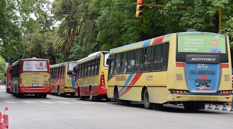 Foto: ALF PONCE / MDZ