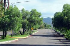 Foto: ALF PONCE MERCADO / MDZ