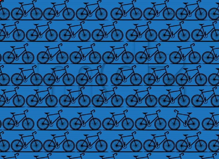 Encontrar la bicicleta al revés parece una verdadera misión imposible Foto: Shutterstock