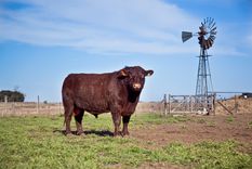 (Foto Argentina.gob.ar)