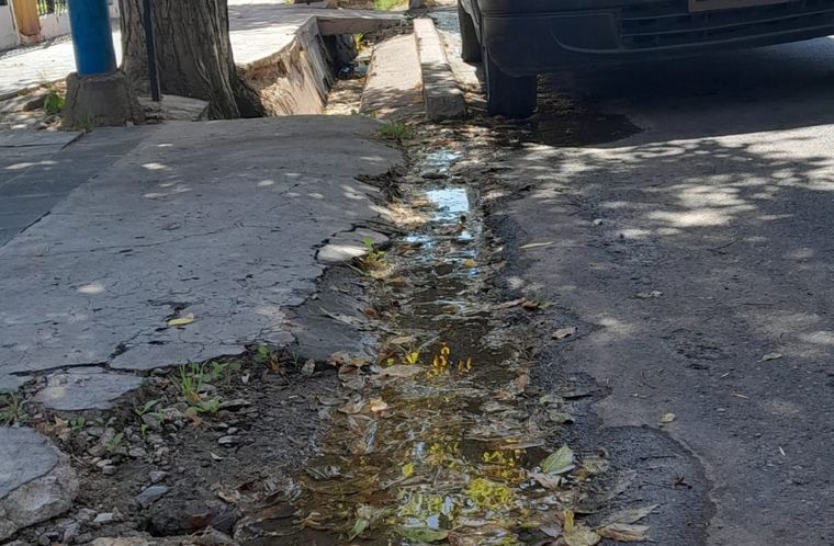 La pérdida de agua en el Barrio Trapice Foto: Gentileza
