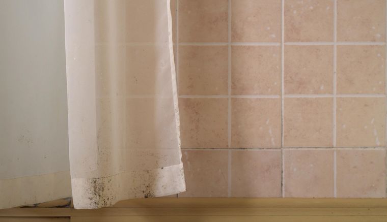 El método efectivo para sacar el moho de las cortinas. El método efectivo para sacar el moho de las cortinas.