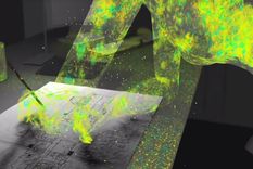 cada familia tiene una huella bacteriana especifica