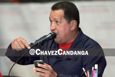 Foto: Internet Foto: Internet