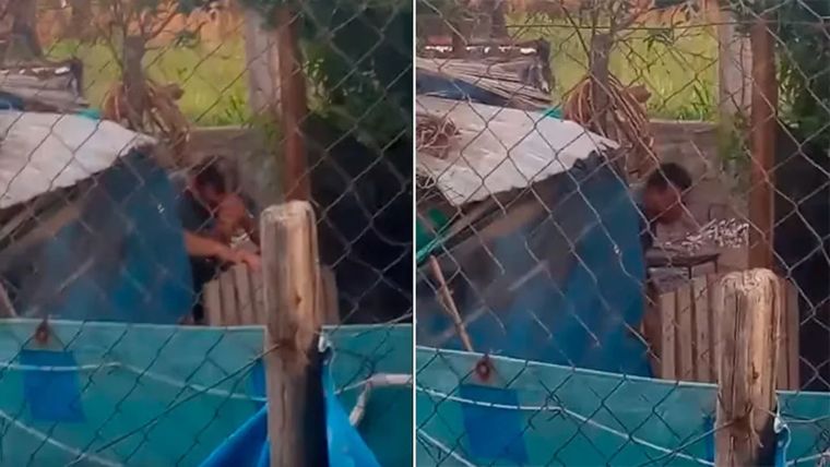 El perro fue rematado con un ladrillo y luego recibió un disparo de arma de fuego Foto: Noticias Argentinas