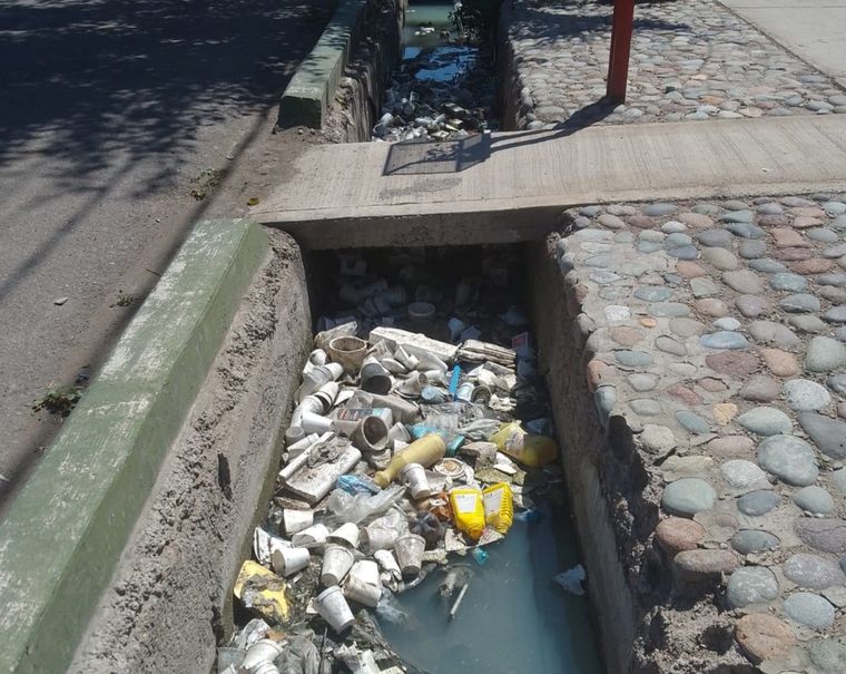 La basura acumulada genera un foco de contaminación en pleno Las Heras. Foto: Gentileza