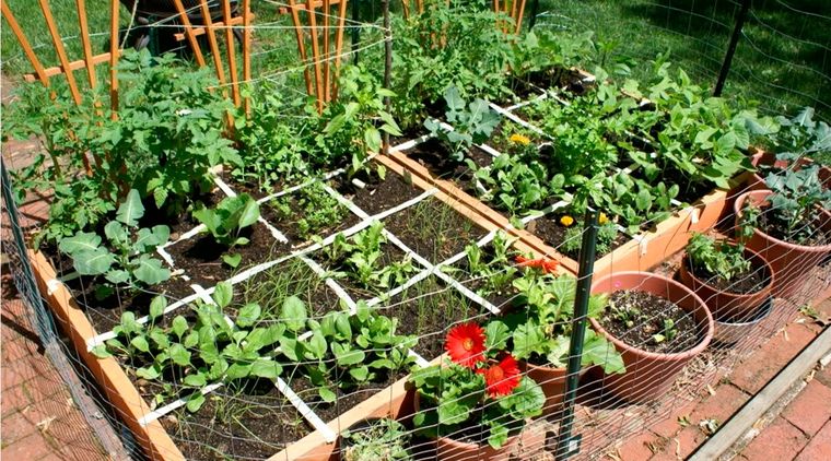 Foto: static.wikia.nocookie.net/gael-raibead