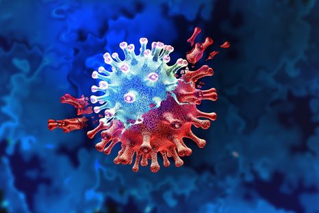 Foto: Shutterstock Foto: Shutterstock