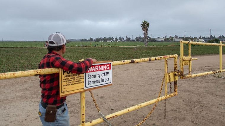 Los migrantes sin papeles que trabajan en los campos estadounidenses conforman el 4% de toda la fuerza laboral indocumentada del país, calcula el Center for Migration Studies.