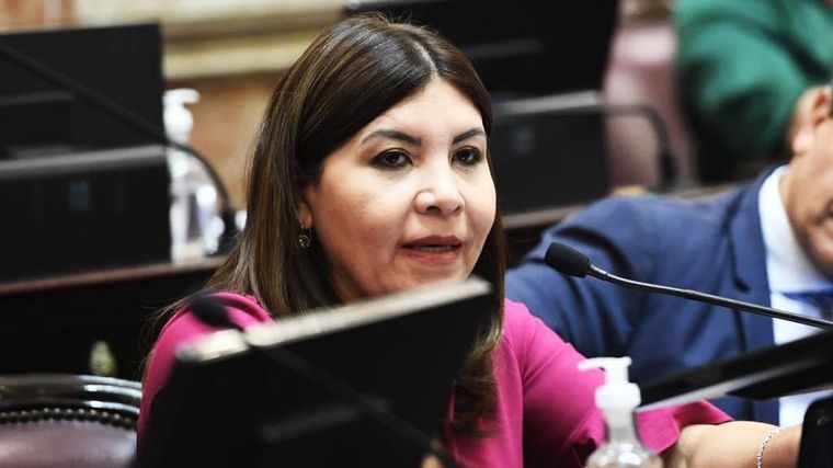 Una senadora K le puso fin al mandato de Javier Milei.
