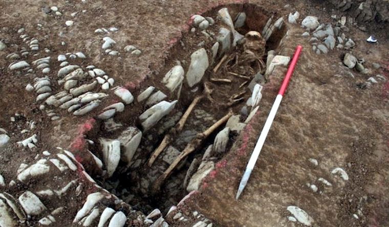 Esqueleto encontrado en tumba forrada de piedra, de Gales, en Reino Unido, Europa. Foto: Dpa.