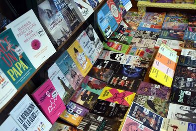 MDZol | Buscan derogar la Ley del Libro. Foto: Alf Ponce Mercado / MDZ