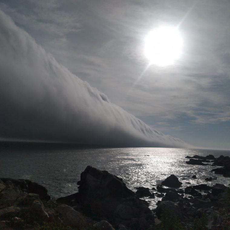 Foto: elinformadorchile