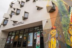 como las bibliotecas mendocinas afrontan los desafios de la pandemia