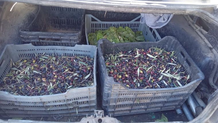 Foto: Ministerio de Seguridad de Mendoza