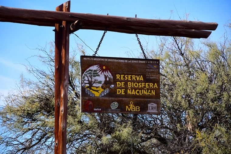 PHOTO-2025-06-18-16-48-18 (2).jpg